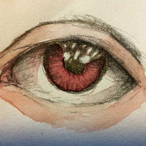 Red Eye watercolor by Patrizia Falk